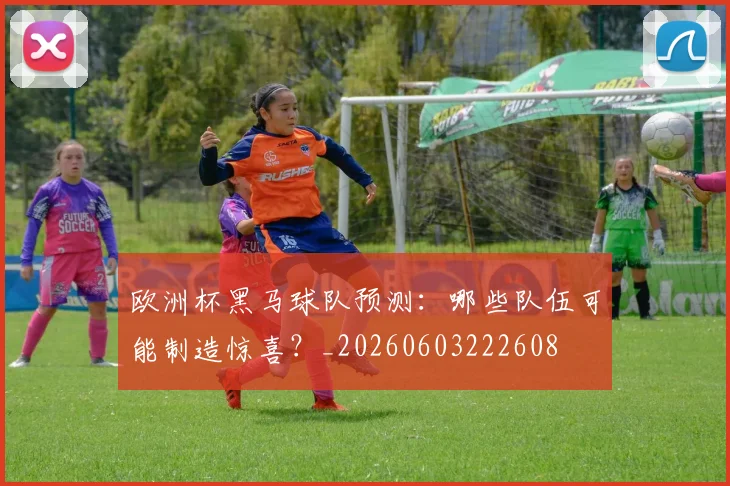 欧洲杯黑马球队预测：哪些队伍可能制造惊喜？_20260603222608