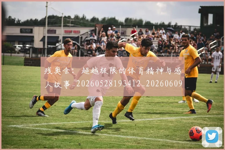 残奥会:超越极限的体育精神与感人故事_20260528193412_20260609231948
