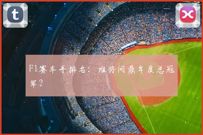 F1赛车手排名：谁将问鼎年度总冠军？